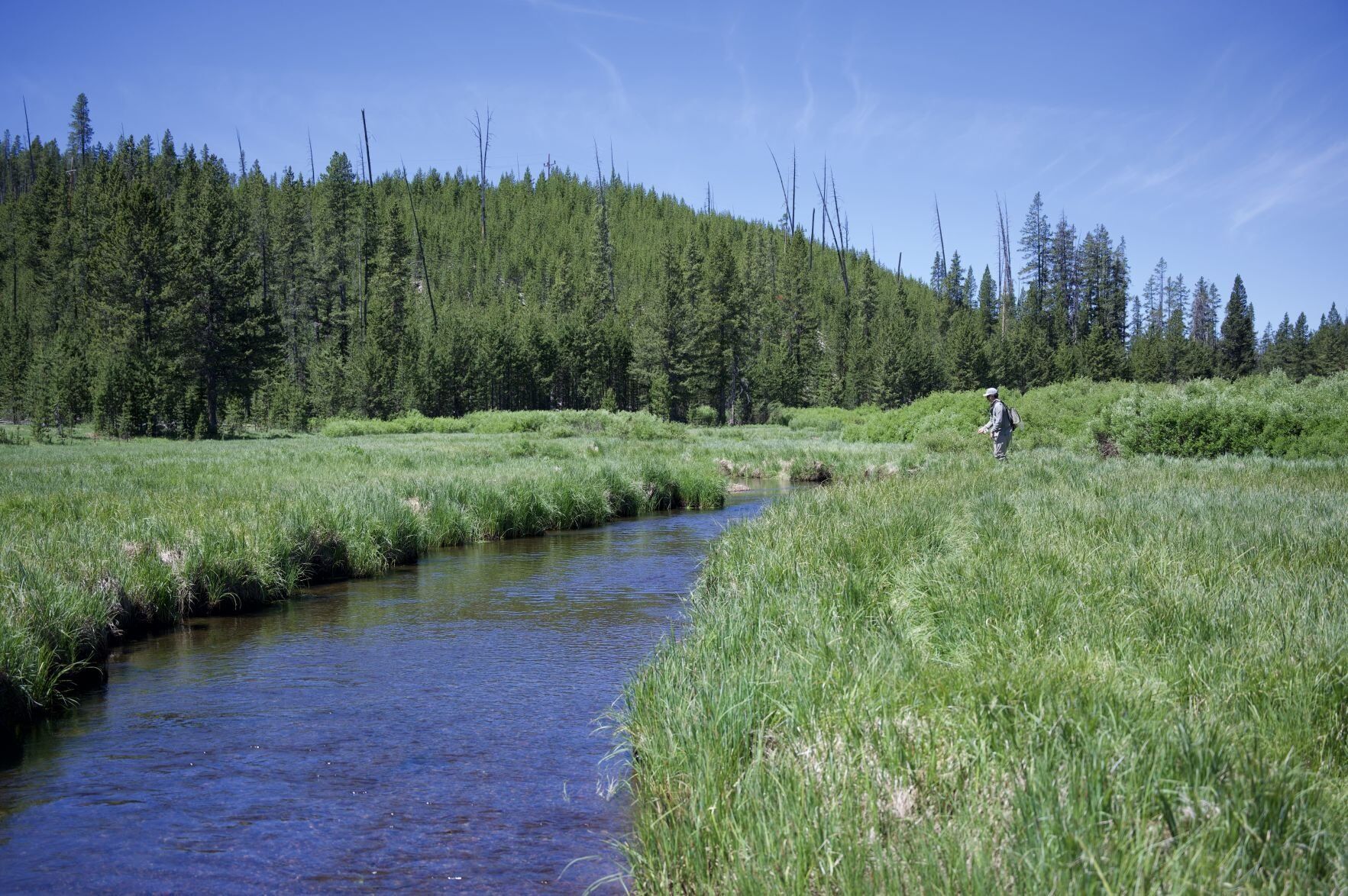 Fishing Yellowstone National Park